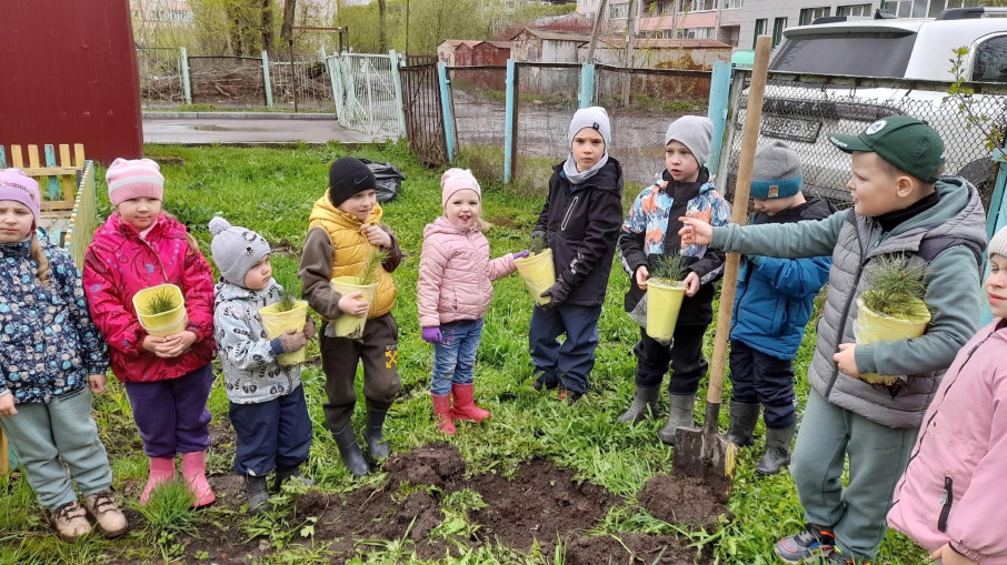 Акция "Кедр Победы" Акция "Кедр Победы".